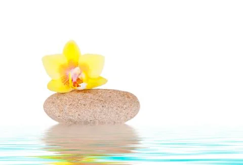 Zen stone with yellow orchid Stock Illustration