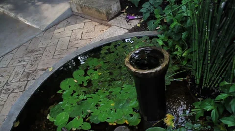 Zen Water Pond Video stock 29601271