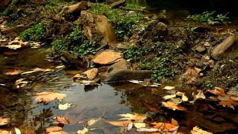 Zen water707 Video stock 94976289