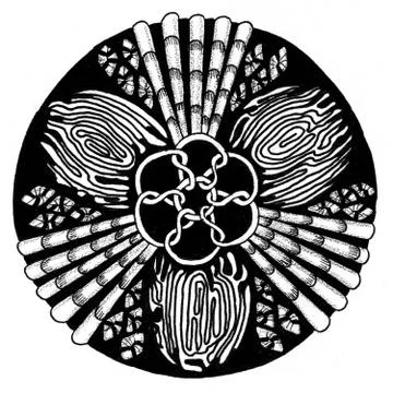 Zendala - mandala of zentangle Stock Illustration