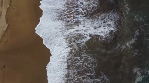 Zenith drone shot of beach and ocean waves Video stock 323014402
