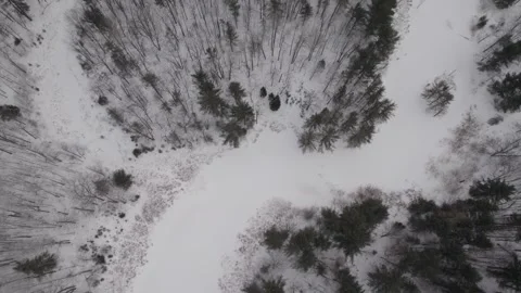 Zenithal Drone shot of a winter forest and river Canada Quebec nature Vídeo Stock 293649671