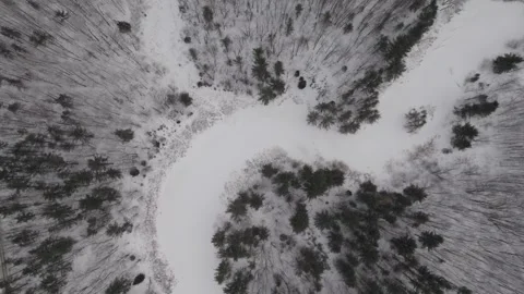 Zenithal Drone shot of a winter forest and river Canada Quebec nature Vídeo Stock 293650031