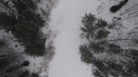 Zenithal Drone shot of a winter forest and river Canada Quebec nature wonderland Vídeo Stock 293651672