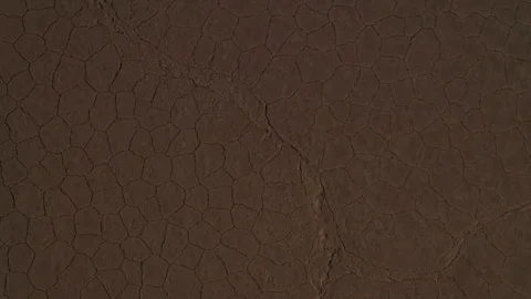  Zenithal Stock Footage 116960869