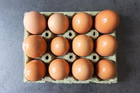 Zenithal View of a centered Full Egg Carton Stock Photos
