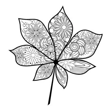 Zentangle. Flower pattern. White and black floral doodles Stock Illustration