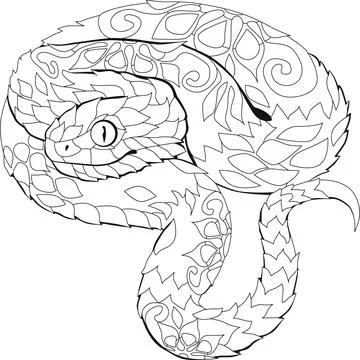 Zentangle snake. Hand drawn decorative vector illustration for coloring book. Stock Illustration