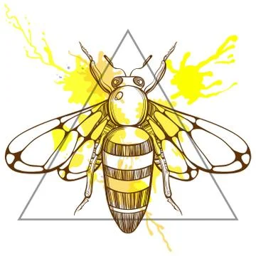 Zentangle stylized Bee in triangle frame with watercolor ink dro Stock-Illustration