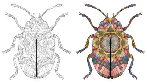 Zentangle stylized beetle. Hand drawn decorative vector illustration Иллюстрация