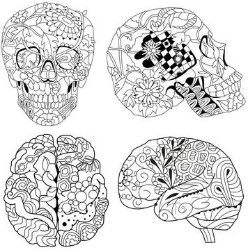 Zentangle stylized brain and skulls. Hand drawn decorative vector illustration Stock Illustration