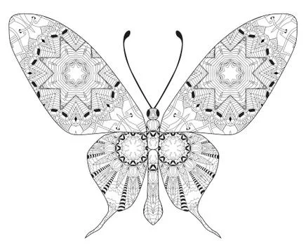 Zentangle stylized butterfly. Hand Drawn lace vector illustration イラスト素材