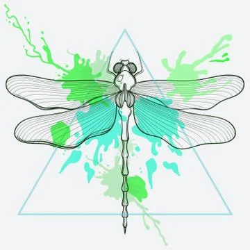 Zentangle stylized Dragon fly in triangle frame with watercolor Stock Illustration
