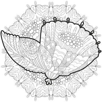 Zentangle stylized flower with mandala. Hand Drawn lace vector illustration Stock Illustration