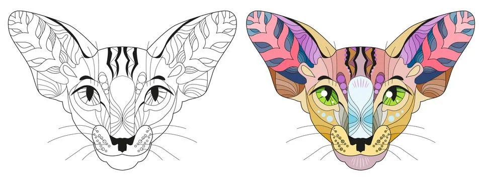Zentangle stylized head of cat. Hand Drawn lace vector illustration. Color and Illustrazione stock