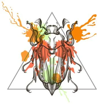 Zentangle stylized  May bug, Scarab Bettle in triangle frame wit Stock Illustration