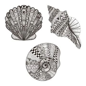Zentangle stylized set seashells. Hand Drawn vector illustration Stock-Illustration