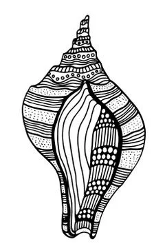 Zentangle stylized shell. Stock Illustration