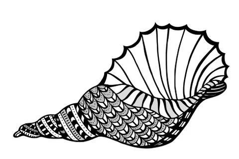 Zentangle stylized shell. Illustrazione stock