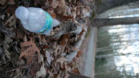 Zephyrhills plastic bottle left as waste on the side of the road. Stock Photos