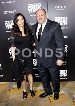 'Zero Dark Thirty' Los Angeles Premiere Stock Photos