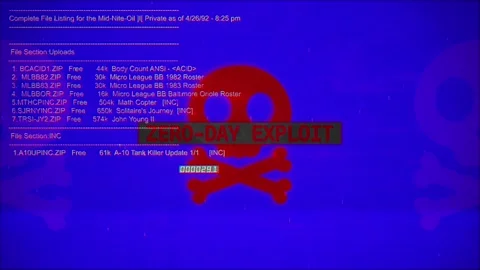 Zero-Day Exploit Warning Text on hacking background screen Stock Footage 317056429
