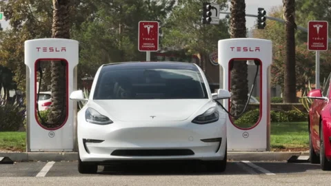 Zero emission passenger vehicles parked by the road with lush palm trees Stockbeeldmateriaal 233453267
