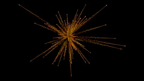 Zero gravity firework / Explosion with trails. Stock Footage 94124532