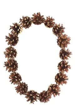 Zero number made of pine cone Stock Photos