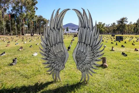 Zero Suicide Awareness Program display featuring boots laid out on the ground Stock Photos