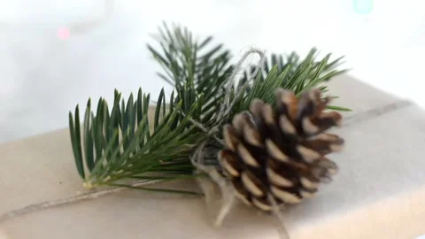 Zero waste and no plastic natural decor gifts Stock Footage 166015421