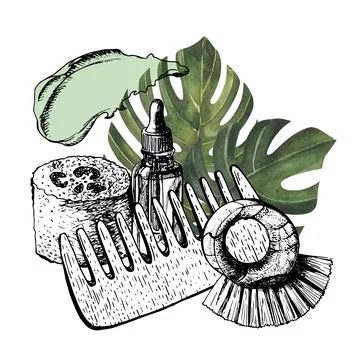 Zero waste bathroom accessories set. wooden comb,brush, monstera leaves, loofah Stock Illustration
