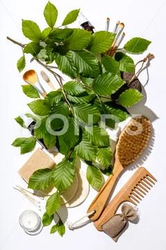 Zero waste, eco friendly cosmetic products and bathroom accessor Stock Photos