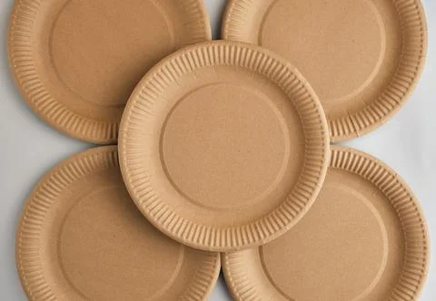 Zero waste, Eco friendly, disposable paper tableware background. Stock Photos