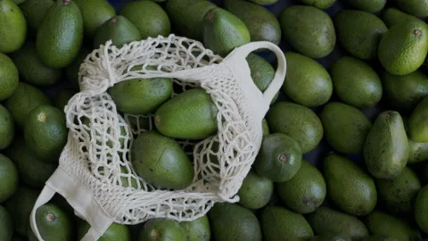 Zero waste home and eco bag. Eco Shopping. Reusable grocery bags with avocado Stock Footage 201550277