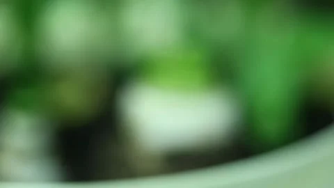 Zero waste leek Stock Footage 131231987