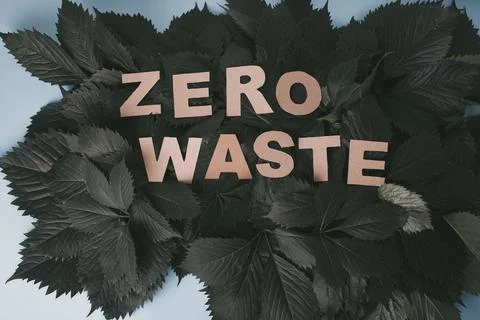 Zero waste paper text with green leaves on a blue background. top view Stock Photos
