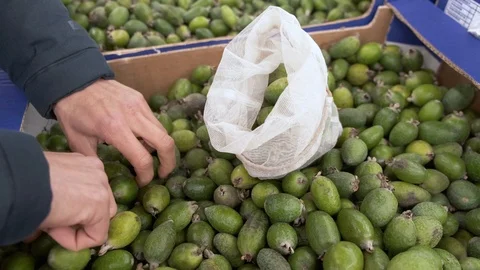 Zero waste shopping. Man buys feijoa in grocery store using reusable mesh bag Video stock 120724459