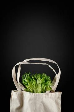 Zero waste use less plastic concept. Fresh vegetables organic in eco cotton Stock Photos
