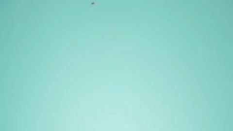 Zest and spices falling down on blue Stock Footage 145791393