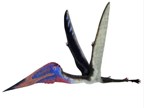 Zhejiangopterus Pterosaur Stock Illustration