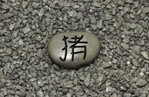 Zhu Stock Photos