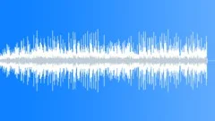 Ziana SwampStock Music
