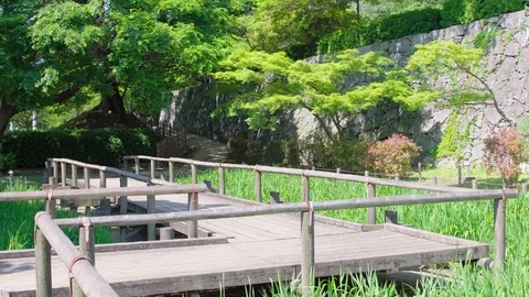Zig-zag footpath in fresh green trees. Environmentally green image in summer. Stock Footage 75715949