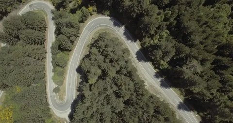 Zig zag forest road in middle of dense forest Stock Footage 119159525