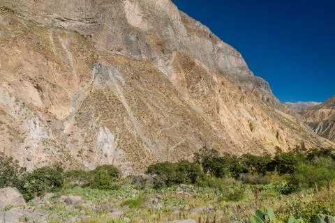 Zig zag path leading to Colca canyon, Peru Stock Photos