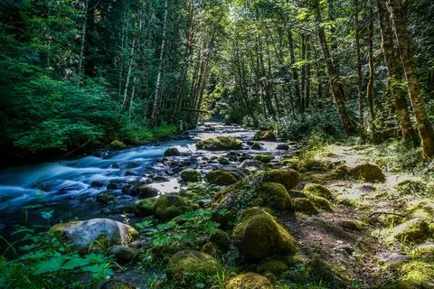 Zig Zag River Stock Photos