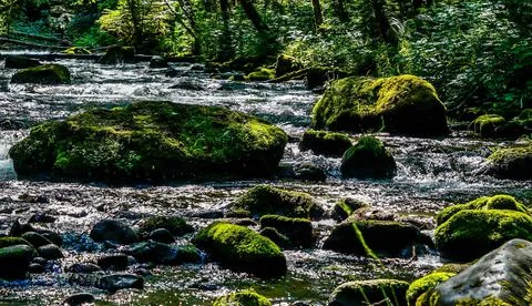 Zig Zag River Stock Photos