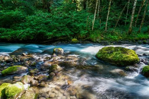 Zig Zag River Stock Photos