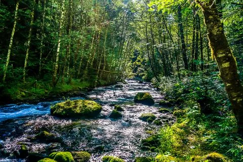 Zig Zag River Stock Photos